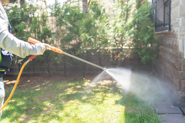 Best Fumigation Services  in USA